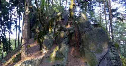 Wandeling door de vijver