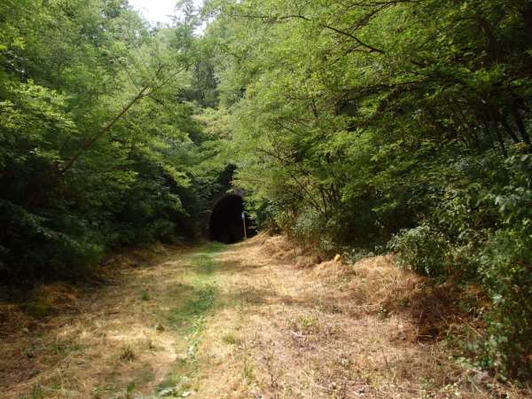 Tunnel plus court