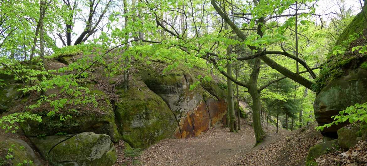 Hike Valečov - Sacrificial stone - Reservoirs: Hiking