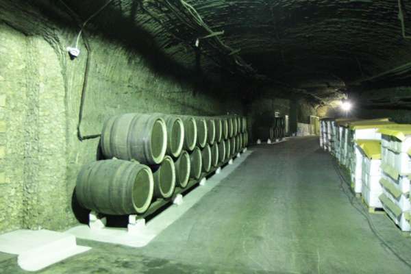 Wijnkelders in Branesti