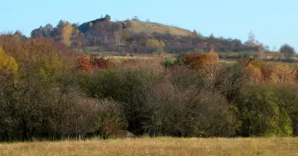 Mužský