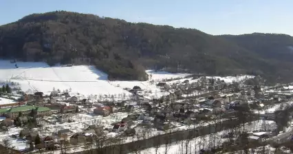 Sokół