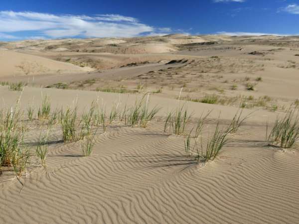 Nelle dune