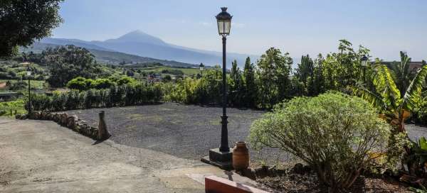 Tenerife e vinho: Tempo e temporada