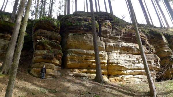 Sandstone cliffs