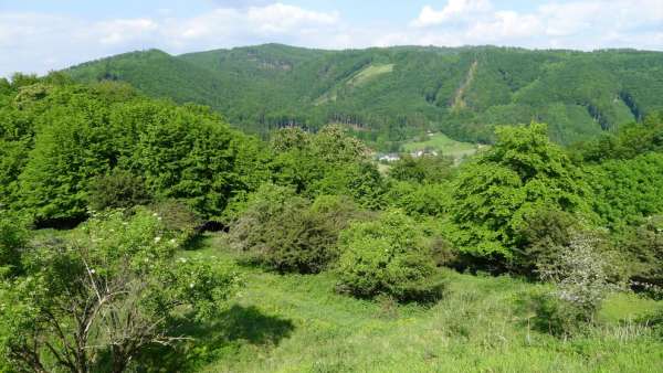 Blick auf die Hügel von Palkovice