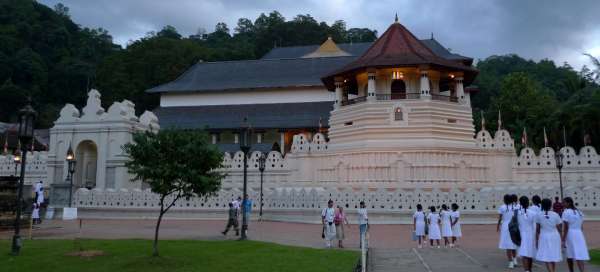 Kandy: Andere