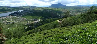 努沃勒埃利耶