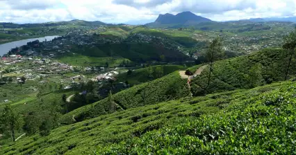 Nuwara Eliya