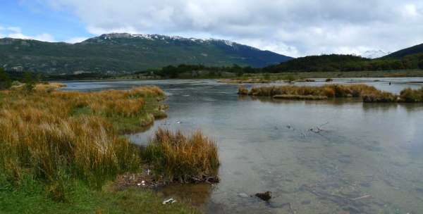 Patagonische landschap