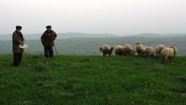 Stretnutie s pastiermi