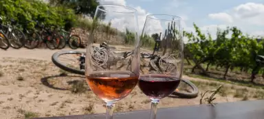 ポディジ国立公園への自転車旅行