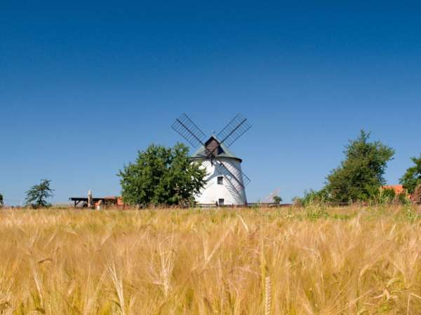 Windmühle von Lesná