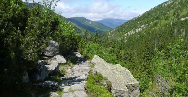 Vista del Cerro Dorado