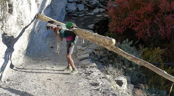 Sherpa com um tronco de madeira