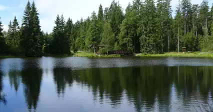 Walk through Kladské peat bogs