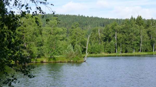 L'étang de Kladsk