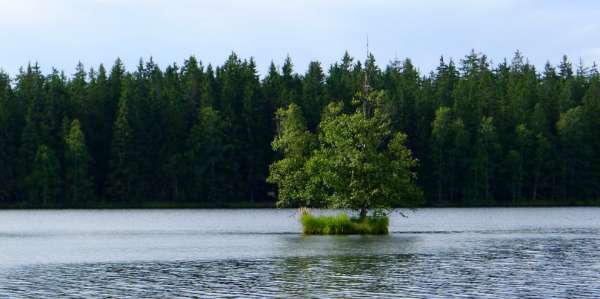 Таинственный остров