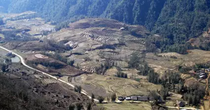 Reisfelder in Sapa