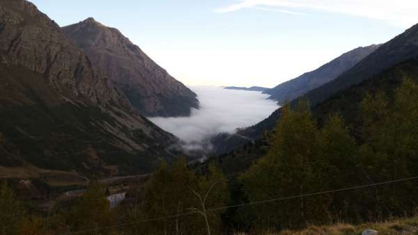 Morning misty valley