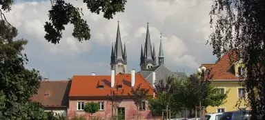 聖ペテロ神殿のツアーニコラスとエリザベス