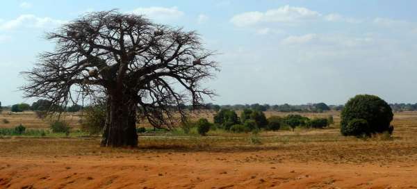 Tanzanie: Počasí a sezóna
