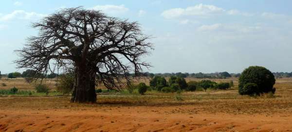 Tanzanie: Ostatní