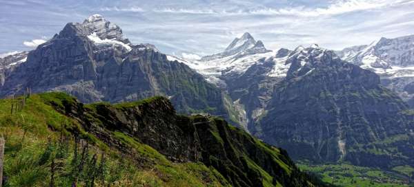 登上 Faulhorn（海拔 2681 米）: 天气和季节