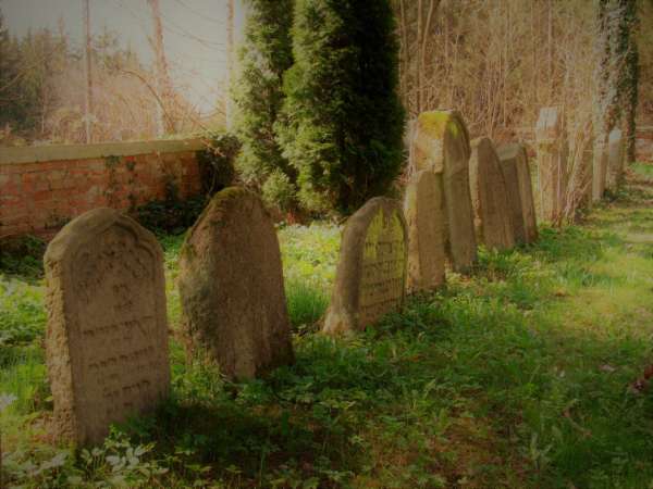 židovský cintorín