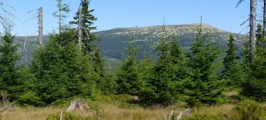 Wycieczka Medvědín - Vrbatova bouda