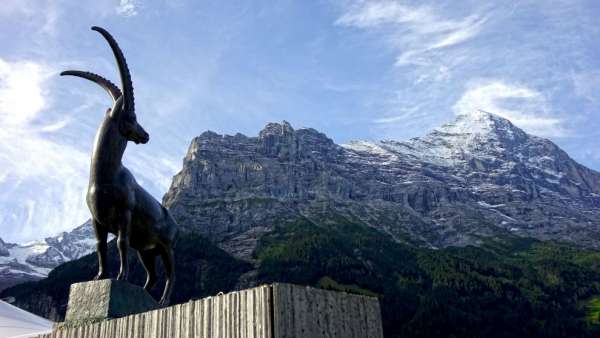 Grindelwald, noordwand van de Eiger ...