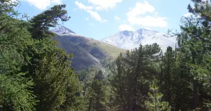 Montée en selle Kara Torek