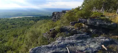 Дечинский Снежник