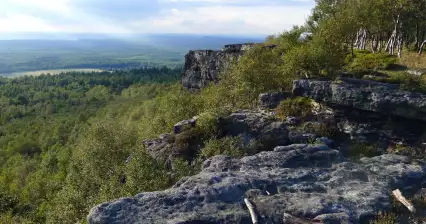 Дечинский Снежник