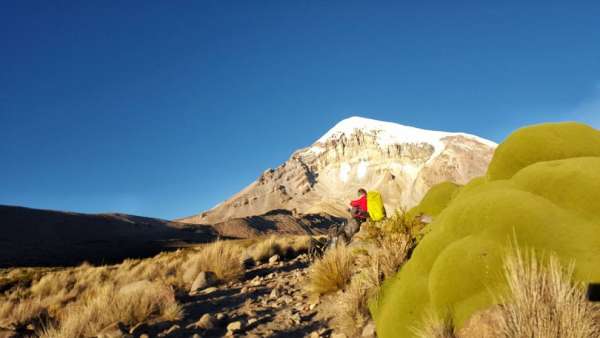 Sajama village and ascent to Base camp