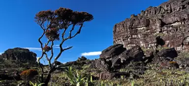 Roraima