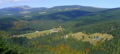 Wood trip