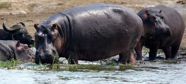 Uganda: Počasí a sezóna