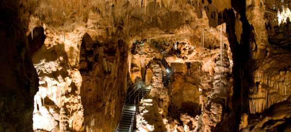 Javoříčská jeskyně: Počasí a sezóna