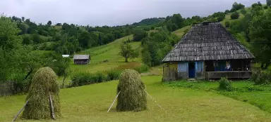 Ukrajina