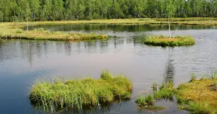 Chalupská slať