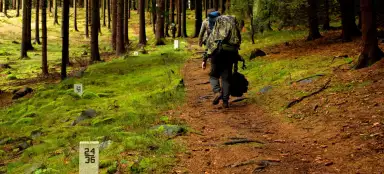 Camino al Polo Norte