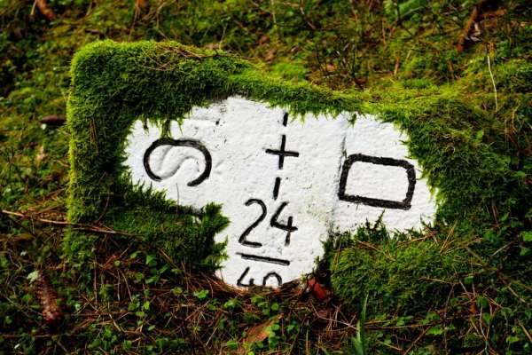 Beautiful mossy border bollard