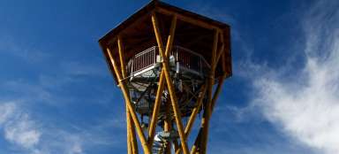 Torre de vigilancia de arándanos