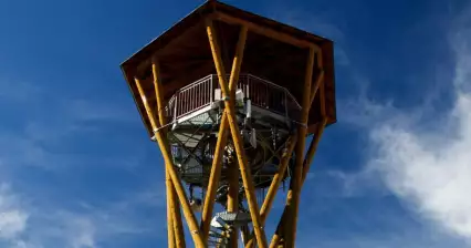 Смотровая башня Черника