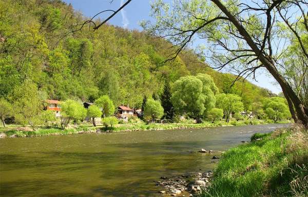 The picturesque banks of the river Sazav