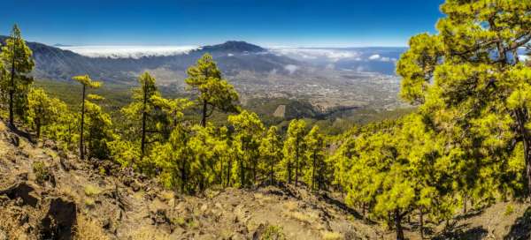 La Palma a víno: Počasí a sezóna