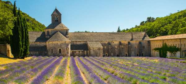 Abbaye Notre-Dame de Sénanque: Počasí a sezóna
