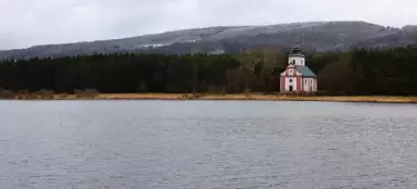 浸水した庭園