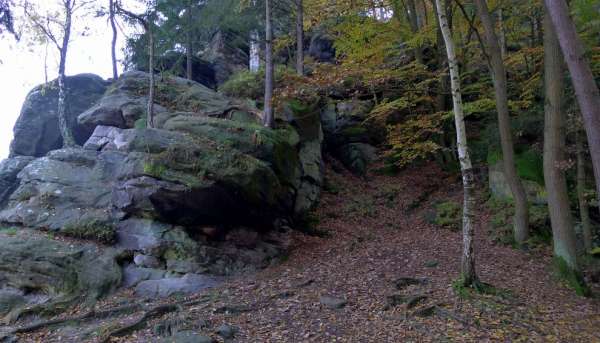 Ascent to the rock above Věžák